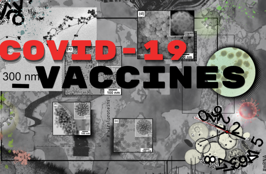 The sped up development of COVID-19 vaccines